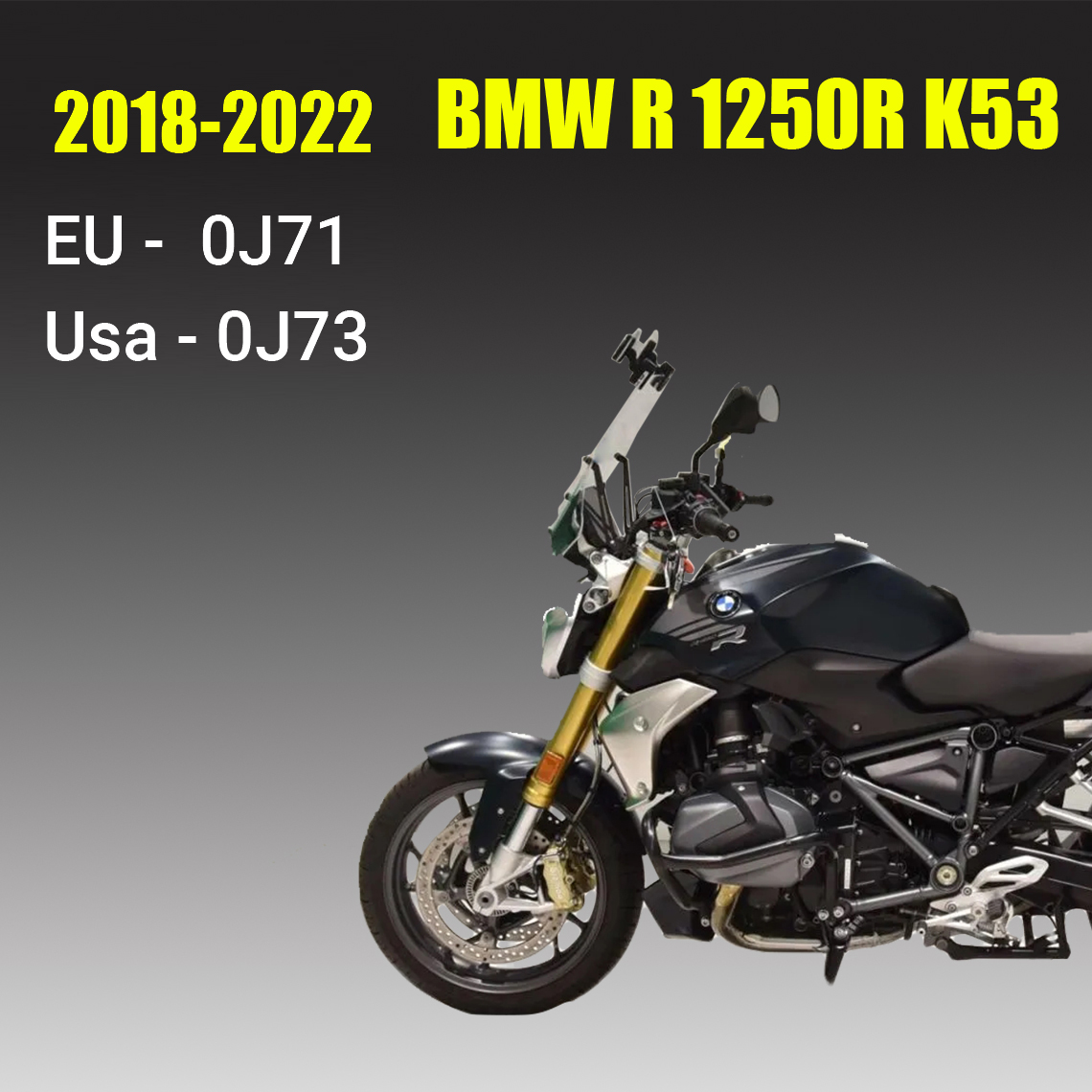 Repair Manual BMW R1250R K53 (2018-2022)