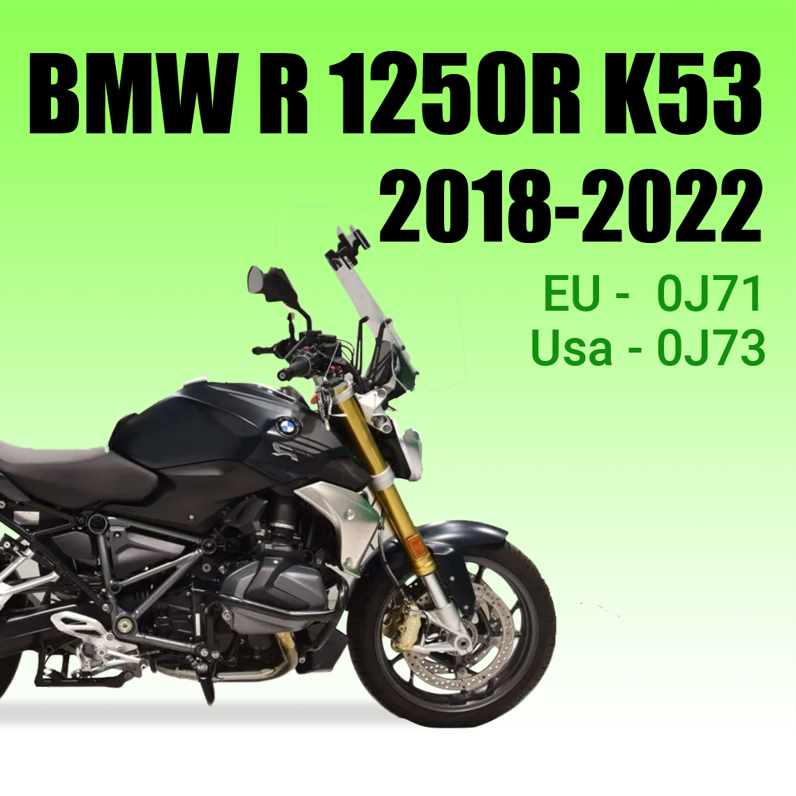 Repair Manual BMW R1250R K53 (2018-2022)